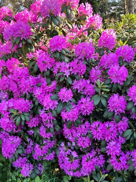 23-06-03 17-36-15 5829.jpeg